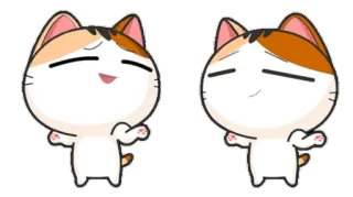 🐣 gato, lindo, dibujos animados, animal, kawaii, mascota, pegatina telegram sticker