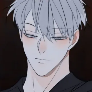 ⚓ Anime, Manga, Charakter, Porträt, Mann, Graue Haare telegram sticker