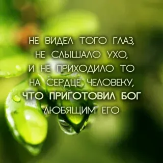 🔆 НЕ ВИДЕЛ ТОГО ГЛАЗ,
НЕ СЛЫШАЛО УХО,
И НЕ ПРИХОДИЛО ТО
НА СЕРДЦЕ ЧЕЛОВЕКУ,
ЧТО ПРИГОТОВИЛ БОГ
ЛЮБЯЩИМ ЕГО religi, alam, teks, kutipan, tuhan, mata, telinga telegram sticker