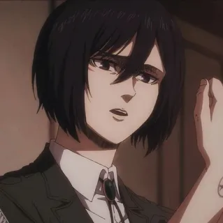 🧣 Mikasa Ackerman Attack on Titan Anime, Militaire, Personnage, Mikasa, Ackerman telegram sticker