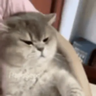 🤨