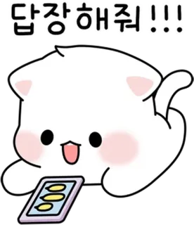 💬 답장해줘!!! gatto, sms, carino, implorante, richiesta, kawaii, animale telegram sticker