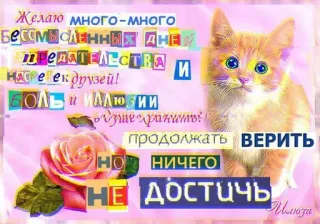 🥰 Желаю много-много
БессмысЛЕННЫХ ДНЕЙ
11
10 САЯТЕЛЬСТВА И
натре ек друзей!
БОЛЬ И ИЛЛЮЗИИ
зше хранить?
продолжать ВЕРИТЬ
НО НИЧЕГО
НЕ ДОСТИЧЬ cat, rose, text, russian, greeting, sticker, cute, pastel telegram sticker