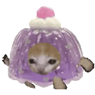 🐈 собака, десерт, торт, смешной, питомец, животное telegram sticker