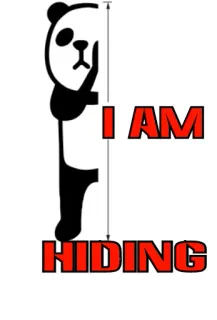 🙈 I AM HIDING Panda, Caché, Mignon, Animal, Dessin animé telegram sticker