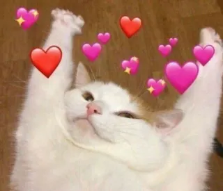 💖 gatto, cuori, amore, carino, animale, meme telegram sticker