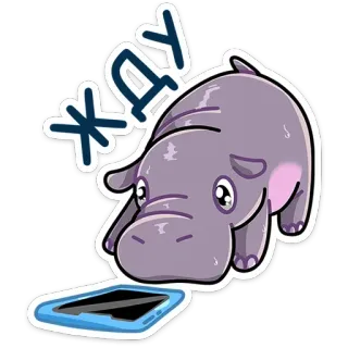 📱 ЖДУ 하마, 기다리는, 슬픈, 동물, 만화 telegram sticker