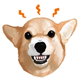🐶 chó, corgi, tức giận, xấu tính, hình minh họa, phim hoạt hình telegram sticker