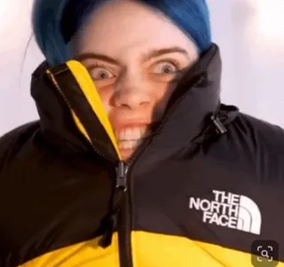 ✨ Billie Eilish chanteur, cheveux bleus, Billie Eilish, North Face, doudoune, célébrité telegram sticker