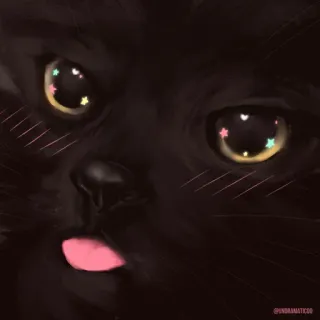 🌟 @undramatic08 gato, animal, mascota, lindo, gato negro, estrellas, ojos, lengua telegram sticker