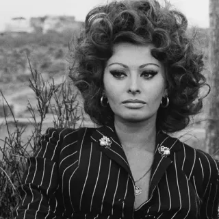 ➿ Sophia Loren atriz, retrato, celebridade, preto e branco, italiana, estrela de cinema, ícone, moda telegram sticker