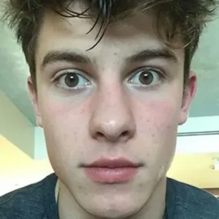 😶 Shawn Mendes celebrity, musician, singer, shawn mendes, portrait, male telegram sticker