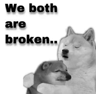 😂 We both are broken.. doge, meme, roto, triste, perro, mascota, animal telegram sticker