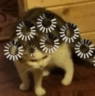 🧈 chat, chaton, chargement, internet, mignon telegram sticker