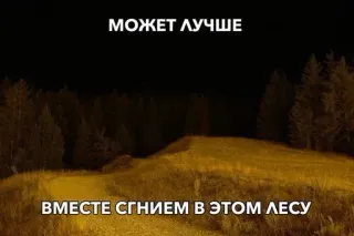 👍 МОЖЕТ ЛУЧШЕ
ВМЕСТЕ СГНИЕМ В ЭТОМ ЛЕСУ Wald, Natur, Landschaft, Bäume, Nacht telegram sticker