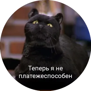 😑 Salem Saberhagen Sabrina the Teenage Witch Теперь я не платежеспособен 猫, 黒猫, 皮肉, 魔女, しゃべる猫 telegram sticker
