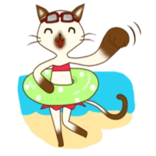 🏖 gatto, costume da bagno, spiaggia, estate, cartone animato, sole, piscina, salvagente, occhiali da sole whatsapp sticker