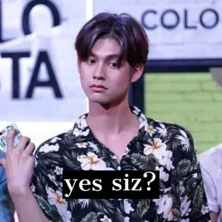 ❓ yes siz? Mème, Expression, Curieux, Oui telegram sticker