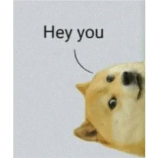 👀 Doge Doge meme Hey you doge, shiba inu, hey you, meme, funny dog, peeking telegram sticker