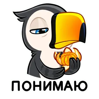 😧 ПОНИМАЮ pássaro, tucano, compreensão, fruta, laranja telegram sticker