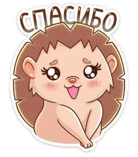 😘 СПАСИБО hedgehog, cute, animal, thank you, cartoon whatsapp sticker