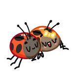 👩‍❤️‍👨 mariquita, insectos, amor, dibujos animados, corazón, lindo whatsapp sticker
