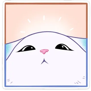 🤩 gato, pegatina, dibujo animado, animal, lindo telegram sticker