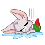 😥 zwierzę, królik, płacz, smutny, woda, łzy, kwiat telegram sticker