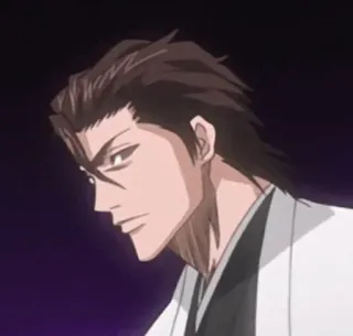 😒 Sosuke Aizen Bleach anime, villain, aizen, sosuke, captain telegram sticker