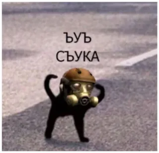 😡 ЪУЪ
СЪУКА gatto, maschera antigas, offensivo telegram sticker