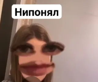 😐 Нипонял Meme, visage, drôle, sticker, russe telegram sticker