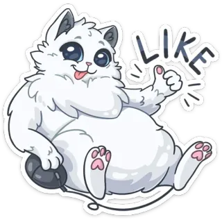 👍 LIKE cat, thumbs up, cute, positive, approval, pet, sticker telegram sticker