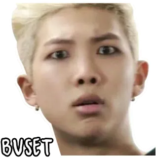 BTS derp by @wontae telegram stickers