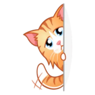 😑 고양이, 스티커, 주황 고양이, 귀여운, 동물, 빼꼼, 새끼 고양이 telegram sticker