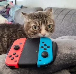 🌟 Nintendo Switch telegram sticker