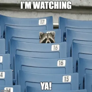 👀 I'M WATCHING
YA! mapache, mirando, animal, meme, gracioso, estadio whatsapp sticker