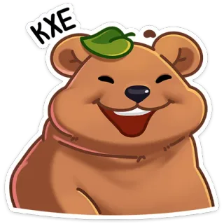 😃 KXE Bär, Cartoon, lächelnd, glücklich, Blatt, Tier whatsapp sticker
