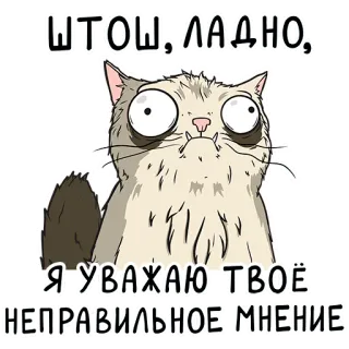 🙂 ШТОШ, ЛАДНО, Я УВАЖАЮ ТВОЁ НЕПРАВИЛЬНОЕ МНЕНИЕ. kucing, meme, lucu, rusia, humor, opini whatsapp sticker