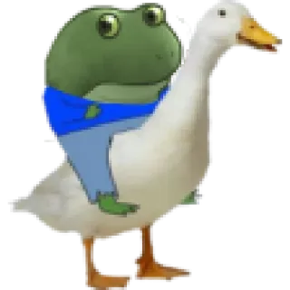 😂 カエル, アヒル, 動物, 乗馬, 漫画 telegram sticker