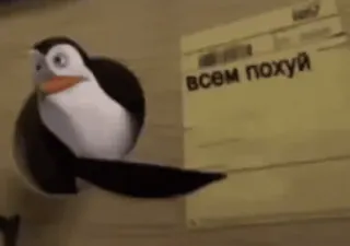 😡 всем похуй pingouin, russe, autocollant, dessin animé telegram sticker