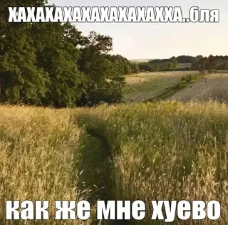 🥱 ХАХАХАХАХАХАХАХАХХА..бля
как же мне хуево Feld, Landschaft, Russisch, Text, Anstößig telegram sticker
