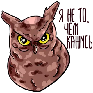 🦉 owl, bird, animal, sticker telegram sticker