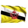 🇧🇳
