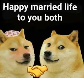 🤝 Doge Doge meme Happy married life to you both telegram sticker