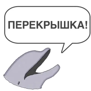 👁 ПЕРЕКРЫШКА! delfín, animal, bocadillo, ruso, texto whatsapp sticker
