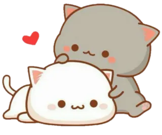 😇 gato, lindo, amor, adorable, animales telegram sticker
