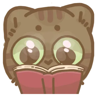 📖 кот, чтение, книга, животное, милый whatsapp sticker