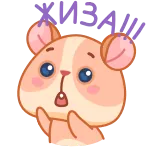 😱 huh? hamster, cute, animal, surprised, confused, question telegram sticker