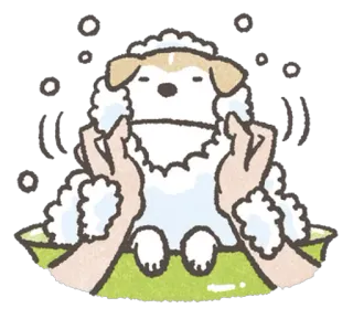 💦 cão, banho, cachorro, desenho animado, animal, animal de estimação, fofo whatsapp sticker