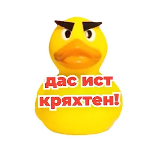 😠 дас ист кряхтен! Ente, wütend, lustig, russisch telegram sticker